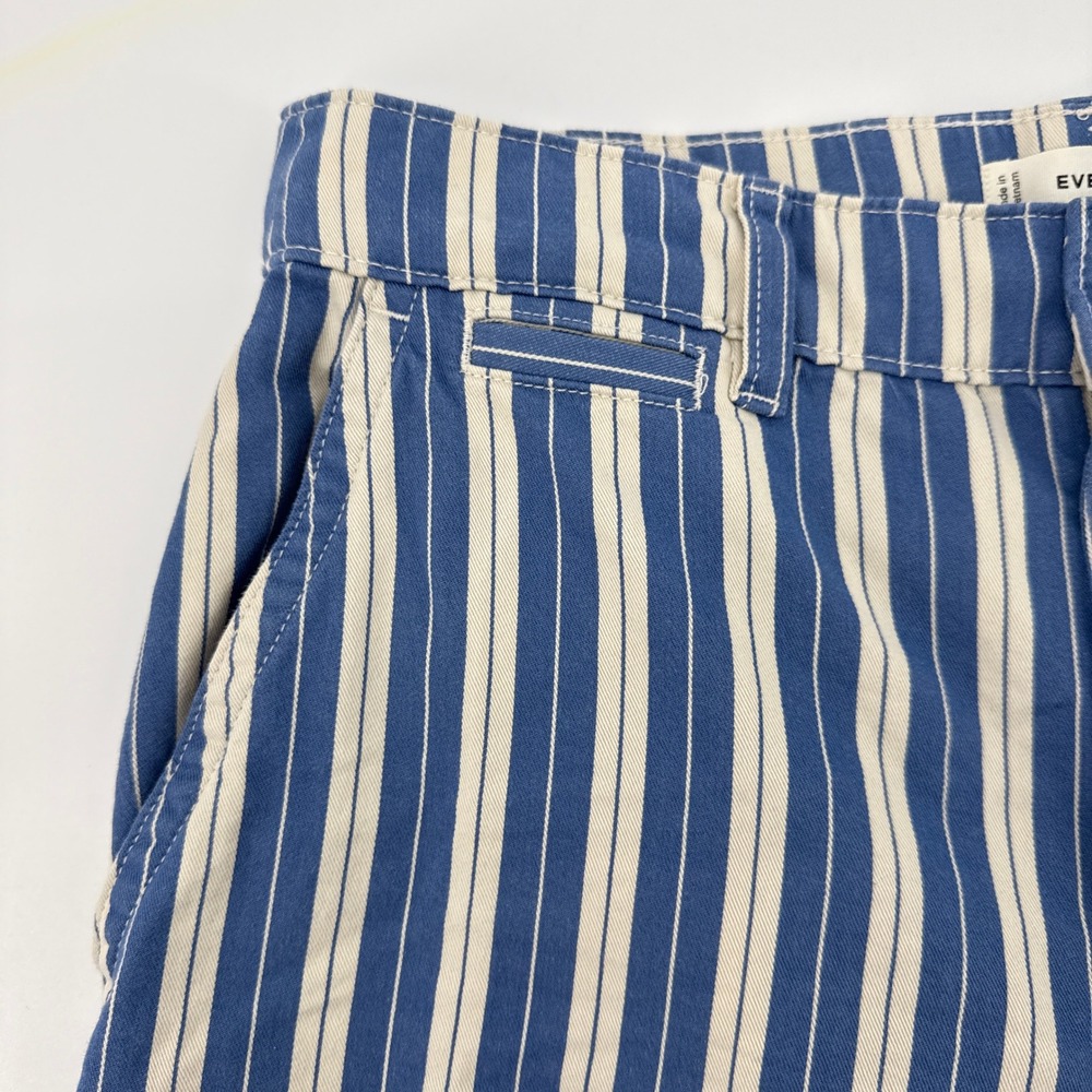 Everlane The Wide-Leg Chino Pants Blue White Stripe High Rise Organic Cotton 4 - Picture 4 of 11